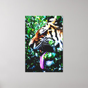 Amur Tiger 40x60 (100x150cm) waccna Canvas Print