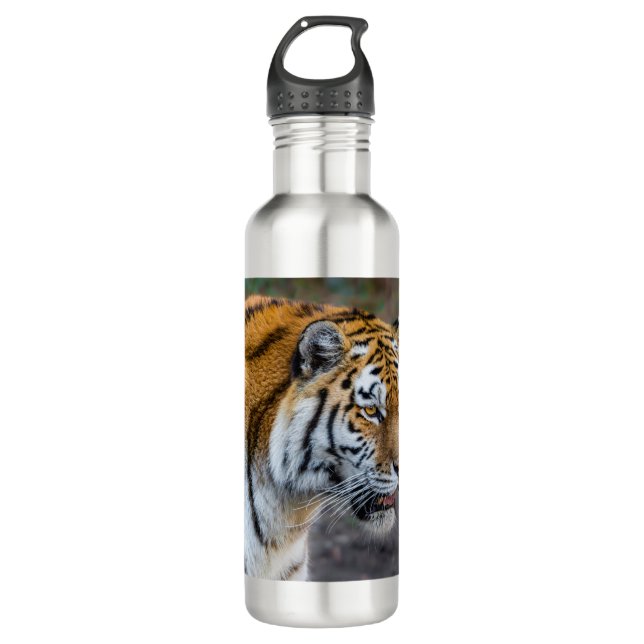 Amur tiger 710 ml water bottle (Front)