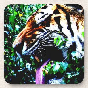 Amur Tiger coastercna Coaster
