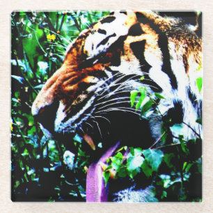 Amur Tiger coastercna Glass Coaster