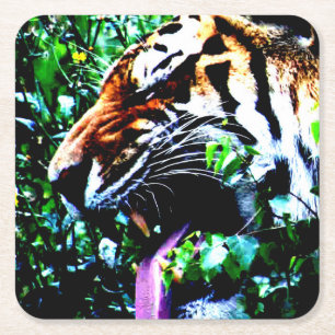 Amur Tiger coastercnm Square Paper Coaster