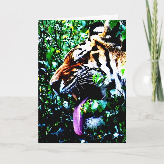 Amur Tiger gccnm Card (Front)