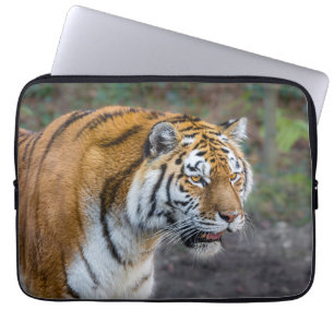 Amur tiger laptop sleeve