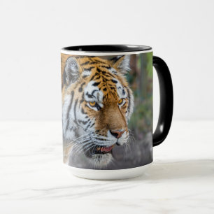Amur tiger mug