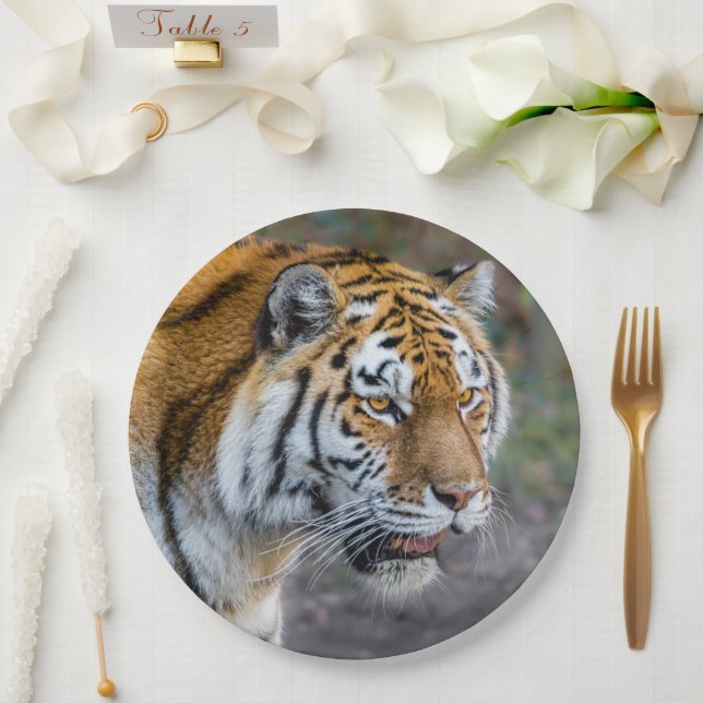 Amur tiger paper plate (Wedding)