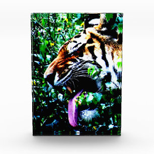 Amur Tiger pbcna Photo Block