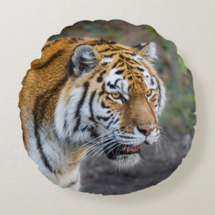Amur tiger round cushion