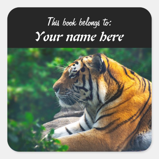 Amur Tiger Sticker (Front)