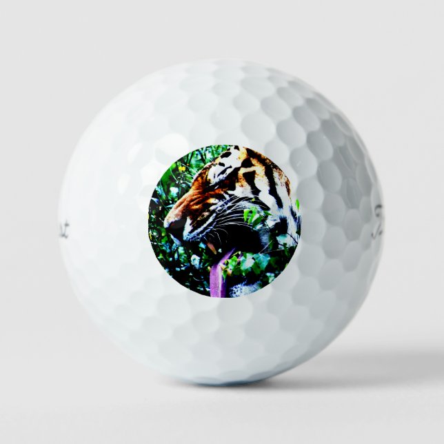 Amur Tiger tpv1 gbcnm Golf Balls (Front)