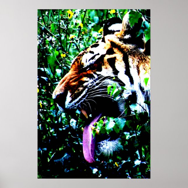 Amur Tiger wapcnm Poster (Front)