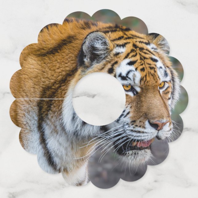 Amur tiger wine glass tag (Back)