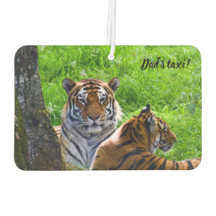 Amur Tigers Car air freshener