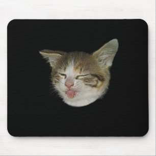 Amusing face of nice kitten which grimaces mouse mat