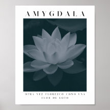 AMYGDALA - LOTUS FLOWER, Grey Palette, Vintage