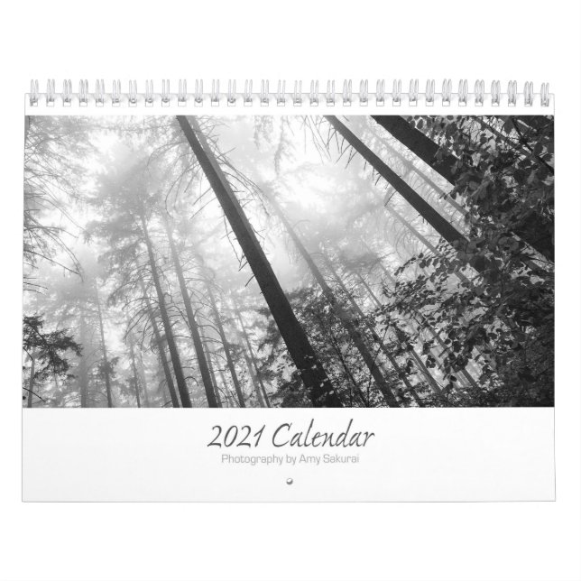 Amy's 2021 Monochrome Photo Calendar (Cover)
