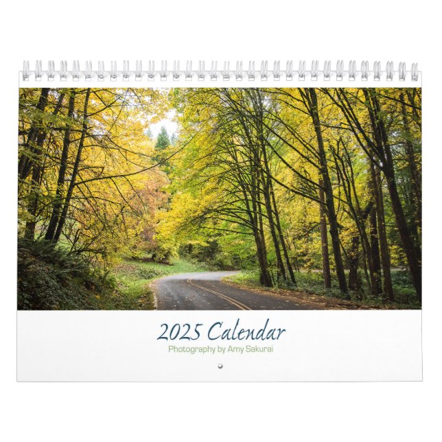 Amy's 2025 Third Calendar (Cover)