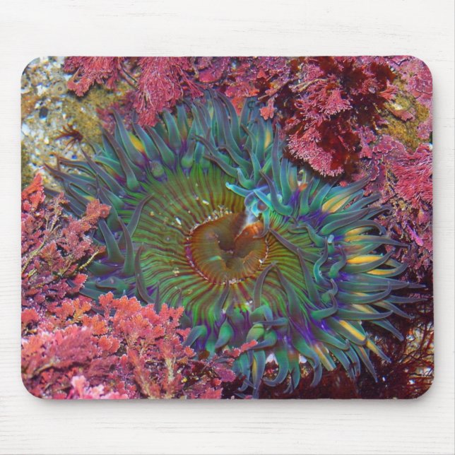 Amzing Green Anemone Mouse Mat (Front)