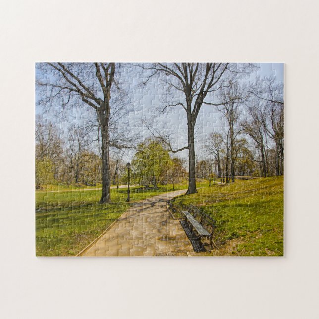 An Abstract Photograph of Central Park New York. Jigsaw Puzzle (Horizontal)