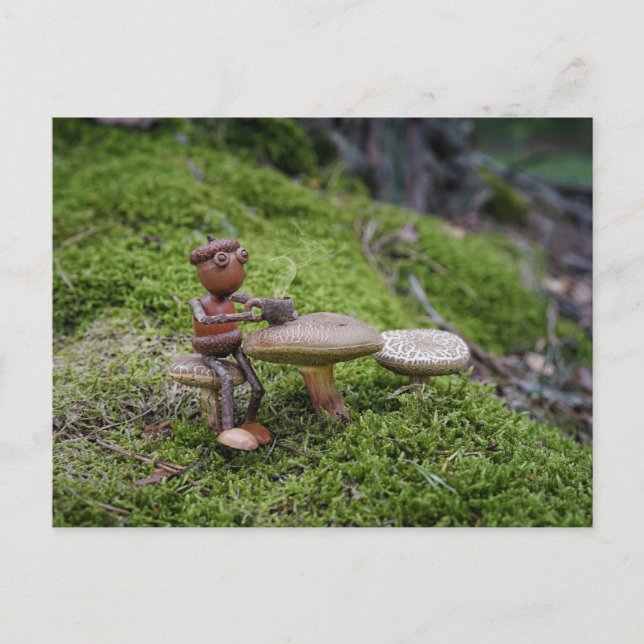 An acorn elf in a forest café! postcard (Front)
