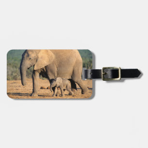 An African Elephant mother and calf on the move Luggage Tag