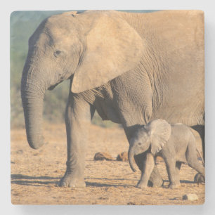 An African Elephant mother and calf on the move Stone Coaster