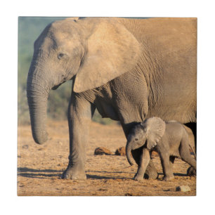 An African Elephant mother and calf on the move Tile