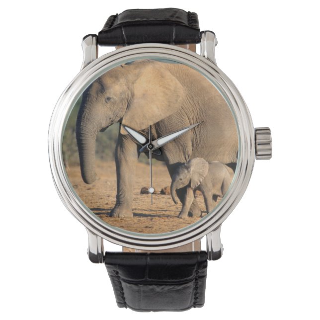 An African Elephant mother and calf on the move Watch (Front)