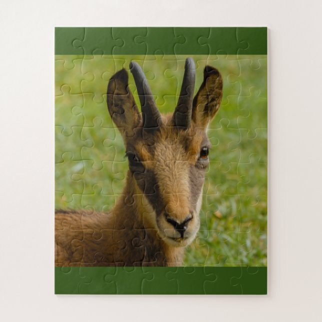 an alpine chamois on puzzle (Vertical)