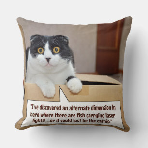 An alternate dimension cushion