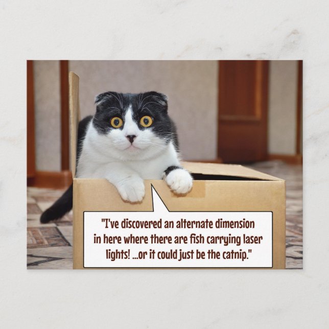 An alternate dimension holiday postcard (Front)