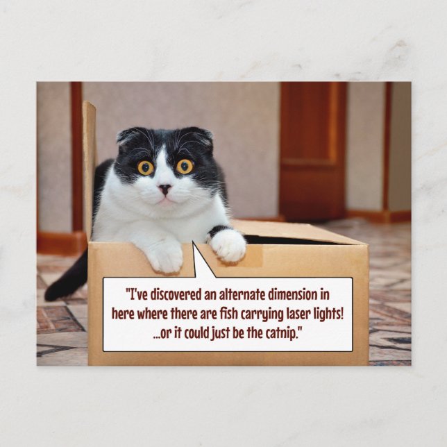 An alternate dimension postcard (Front)