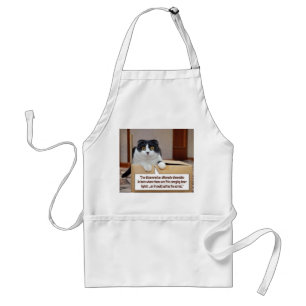 An alternate dimension standard apron