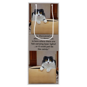 An alternate dimension wine gift bag