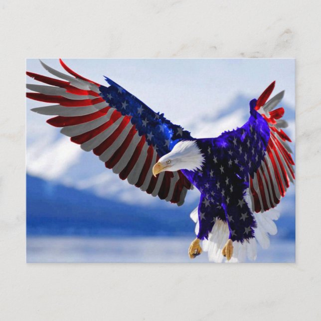 An American Eagle Postcard (Front)