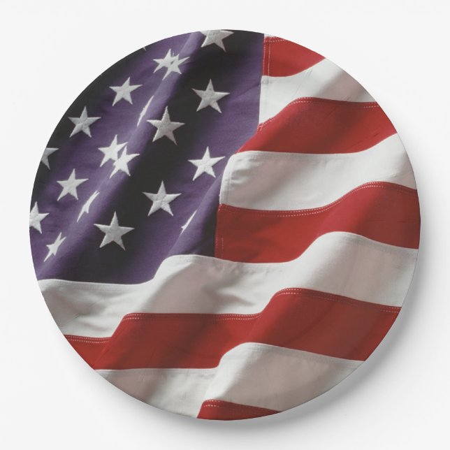AN American Flag - USA Paper Plate (Front)
