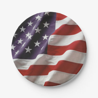 An American Flag - USA Paper Plate