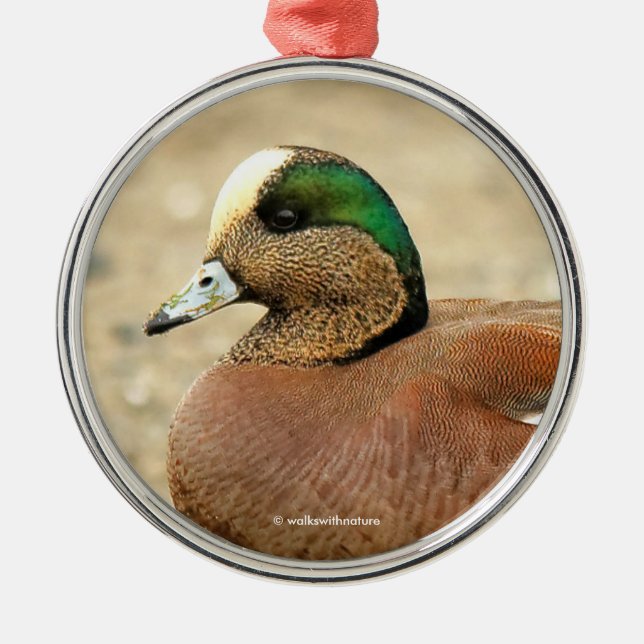An American Wigeon on the Beach Metal Tree Decoration (Front)