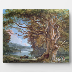An Ancient Beech Tree, 1794 (oil on canvas) Plaque