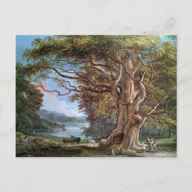 An Ancient Beech Tree, 1794 (oil on canvas) Postcard (Front)
