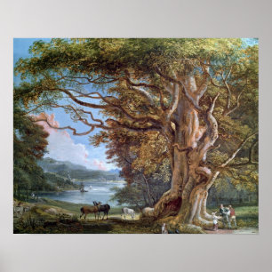 An Ancient Beech Tree, 1794 (oil on canvas) Poster