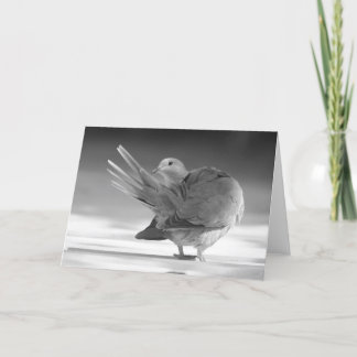 An angel in the sky I Card