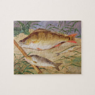 An Angler's Catch of Coarse Fish (oil on panel) Jigsaw Puzzle