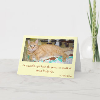 An animal's eyes card