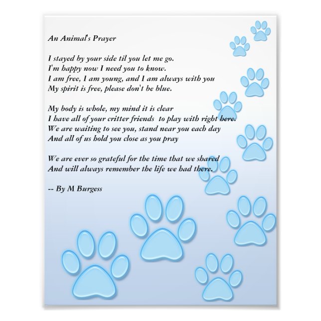 An Animal's Prayer - Photo Print (Front)