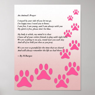 An Animal's Prayer - Pink Paws - Poster