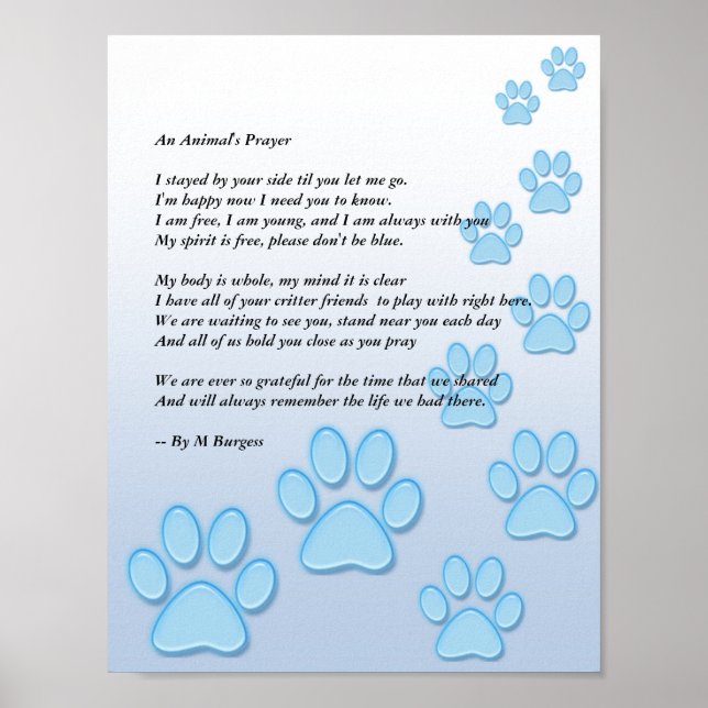 An Animal's Prayer - Poster (Front)