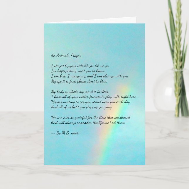 An Animal's Prayer - Rainbow - Card (Front)