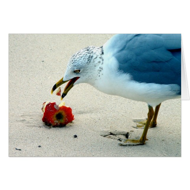 An Apple a Day... (Front Horizontal)