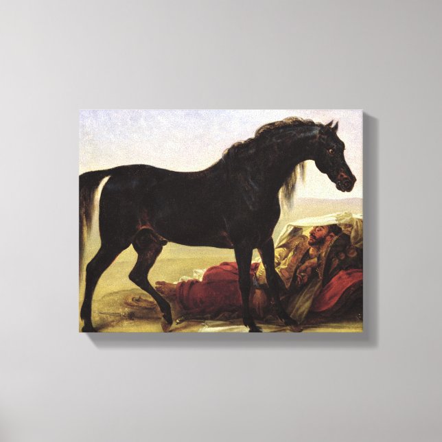 An Arabian Horse Canvas Print (Front)