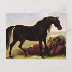 An Arabian Horse Postcard